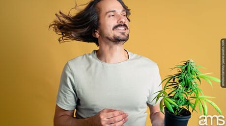 man is holding potted cannabis plant with wind blowing