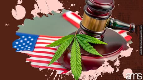 a judge's hammer with a marijuana leaf and flags