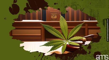 a cannabis leaf in court