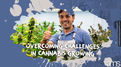 a happy grower in his growroom full of marijuana plants