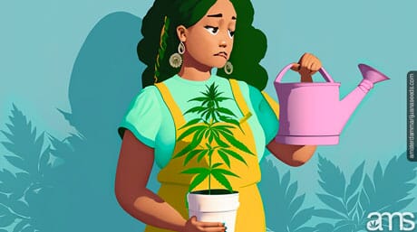 worried girl sadly looks at her cannabis plant