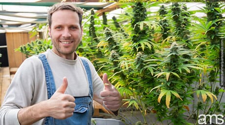 mhappy man in a greenhouse