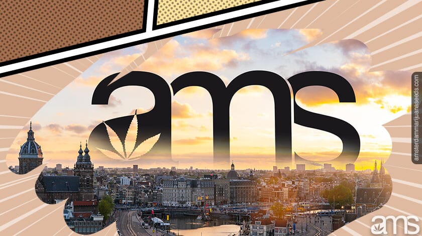 ams logo and amsterdam city background