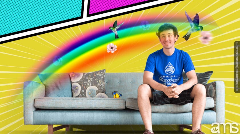 couch lock smoking rainbow kush
