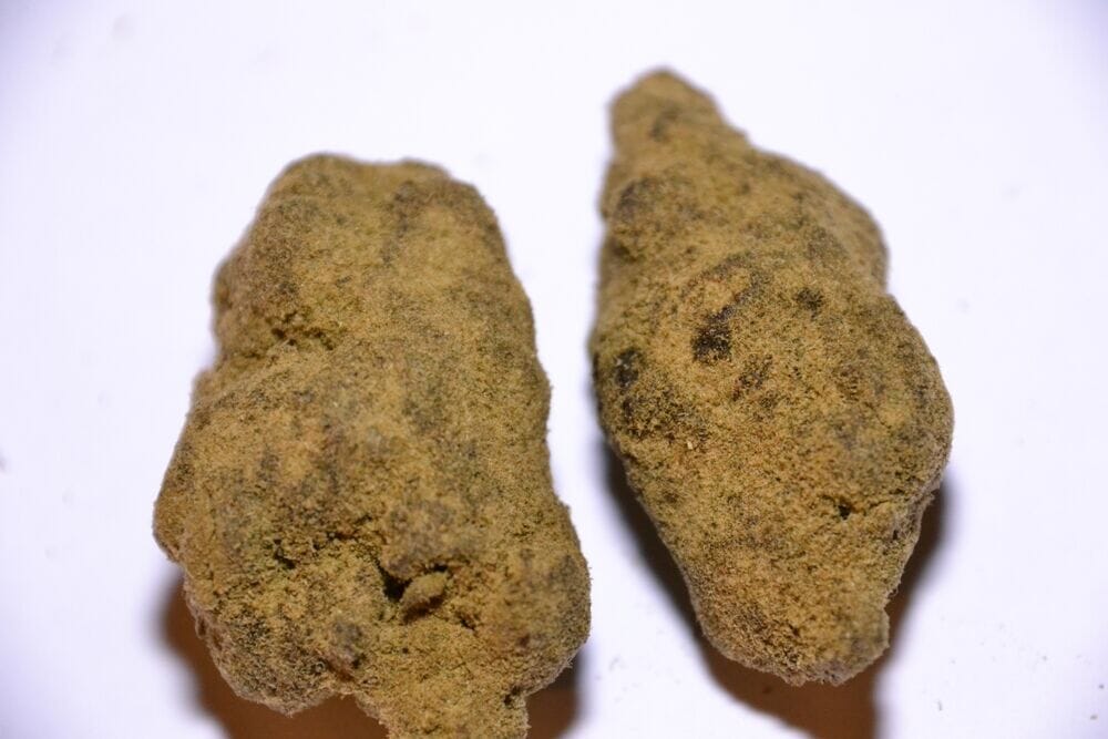 Moon Rocks weed on white background