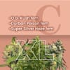 Outdoor Feminized Combo Pack XL
