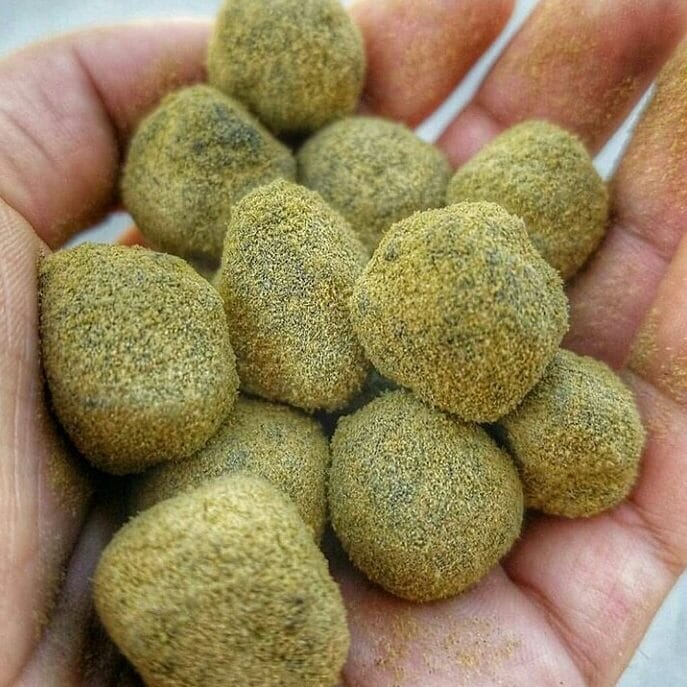 Best Moon Rocks In Amsterdam