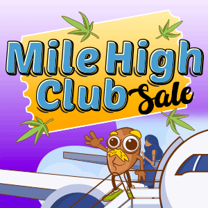 Mile High Club Marijuana Seeds Sale