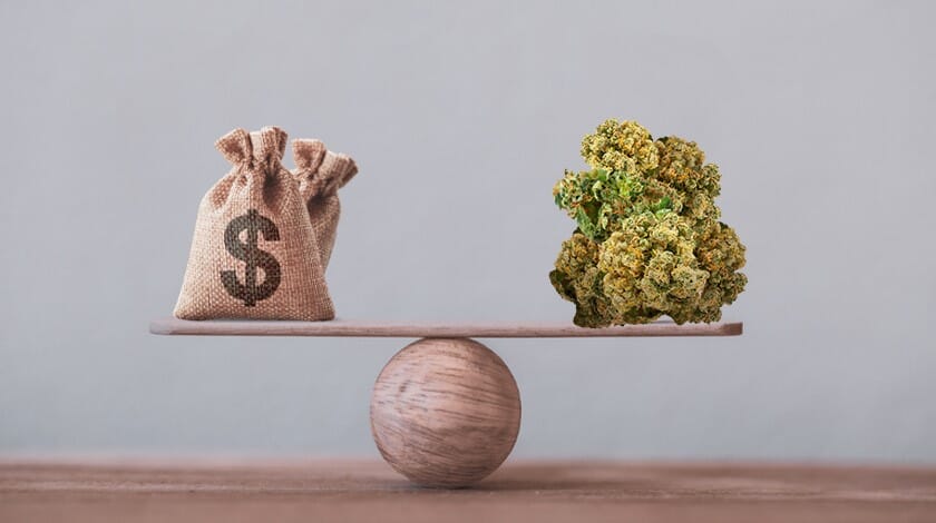 weighing costs cannabis on a scale