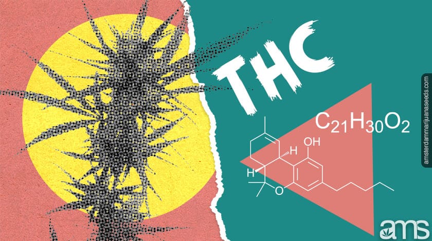 thc