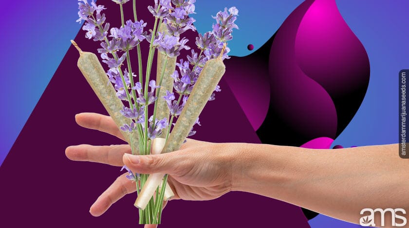 bouquet of joints and lavendar
