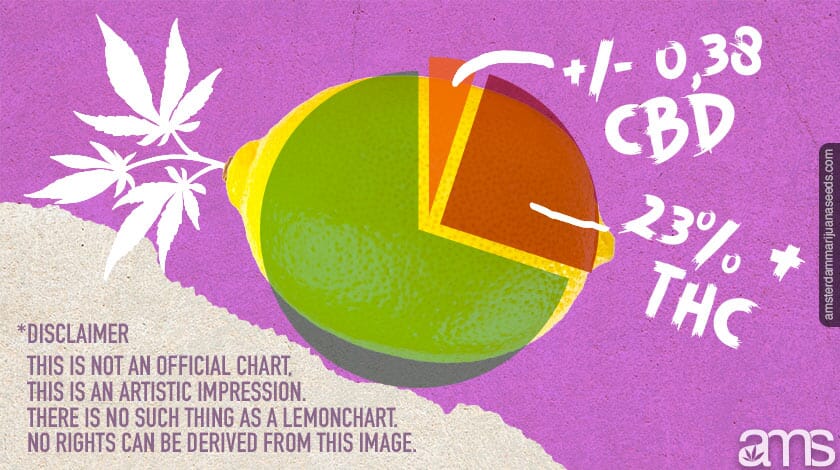 lemon chart
